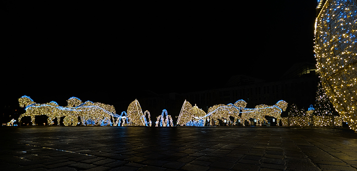 Weihnachtsbaum